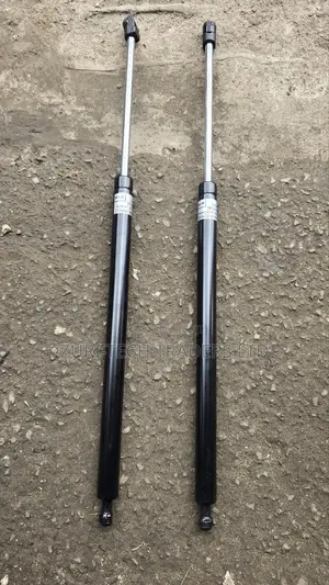 Lexus 450 Boot Shocks