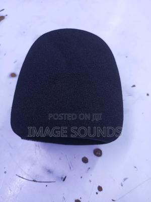 Recording/ Condenser Microphones Sponge - main view