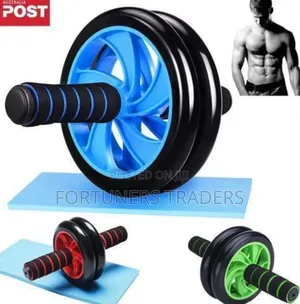Ab Wheel Double Wheel Fitness Abs Roller