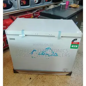 Brand Néw Commercial Ecomax 219litres Deep Freezer