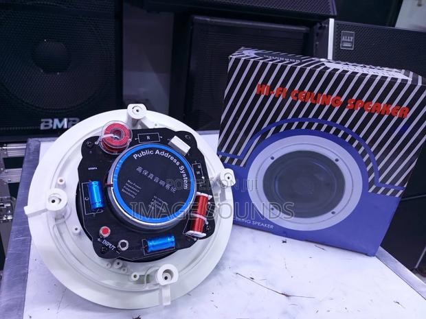 6.5inch Ceiling SPK - thumbnail 2