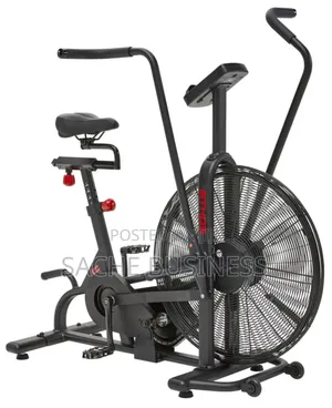Assault Air Bike