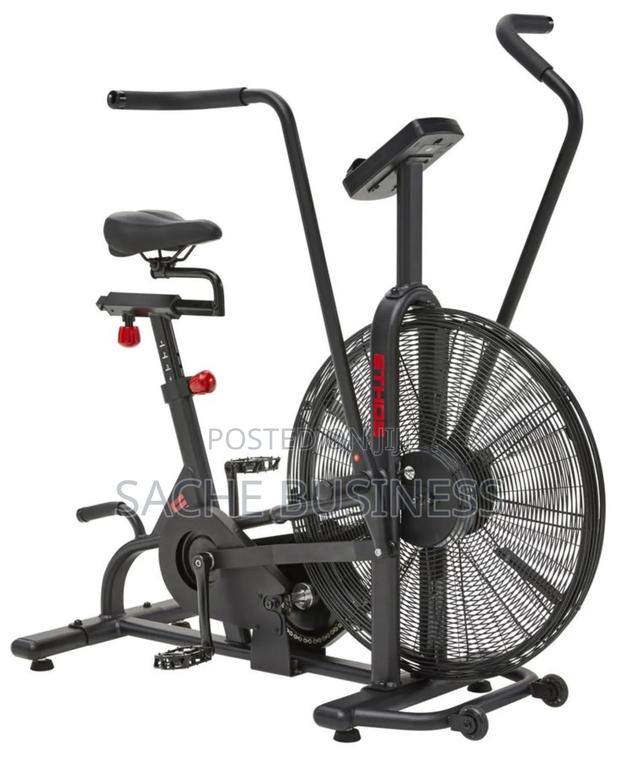 Assault Air Bike