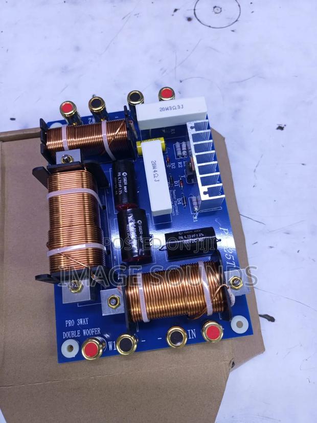 1000 Watts Dual Crossover