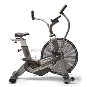 Assault Elite Air Bike