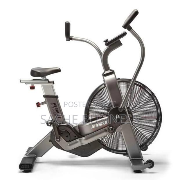 Assault Elite Air Bike