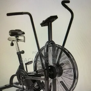 Classic Air Bike