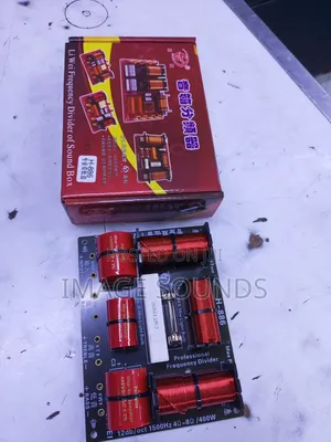 Professional 400 Watts Dual Crossover