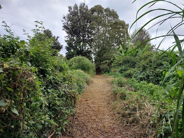 Dagoretti 1/4 Plot for Sale - thumbnail 7