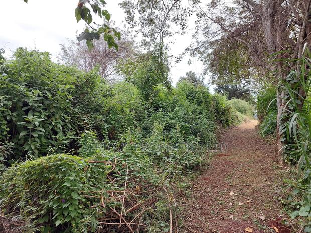Dagoretti 1/4 Plot for Sale - thumbnail 8