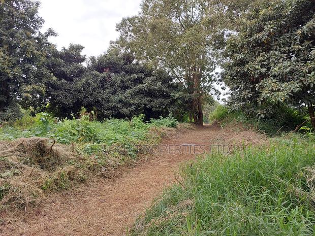 Dagoretti 1/4 Plot for Sale