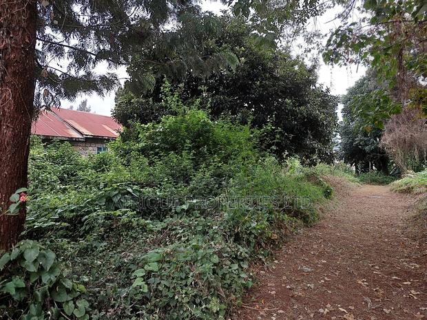 Dagoretti 1/4 Plot for Sale - thumbnail 6