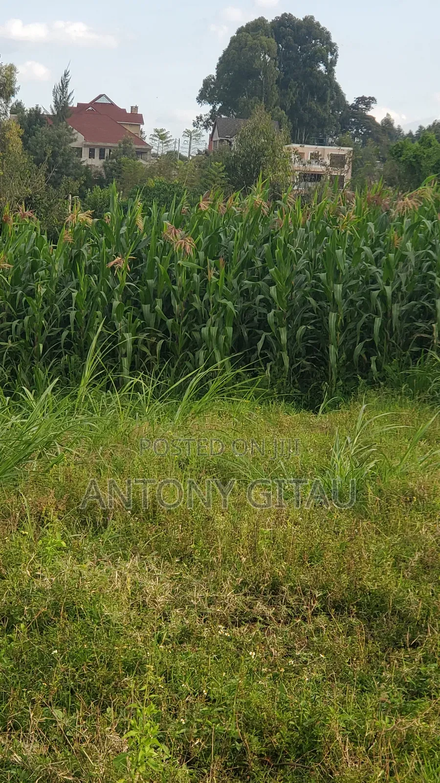 0.05 Ha Plot Near Kikuyu Bypass Overlooking Alliance High