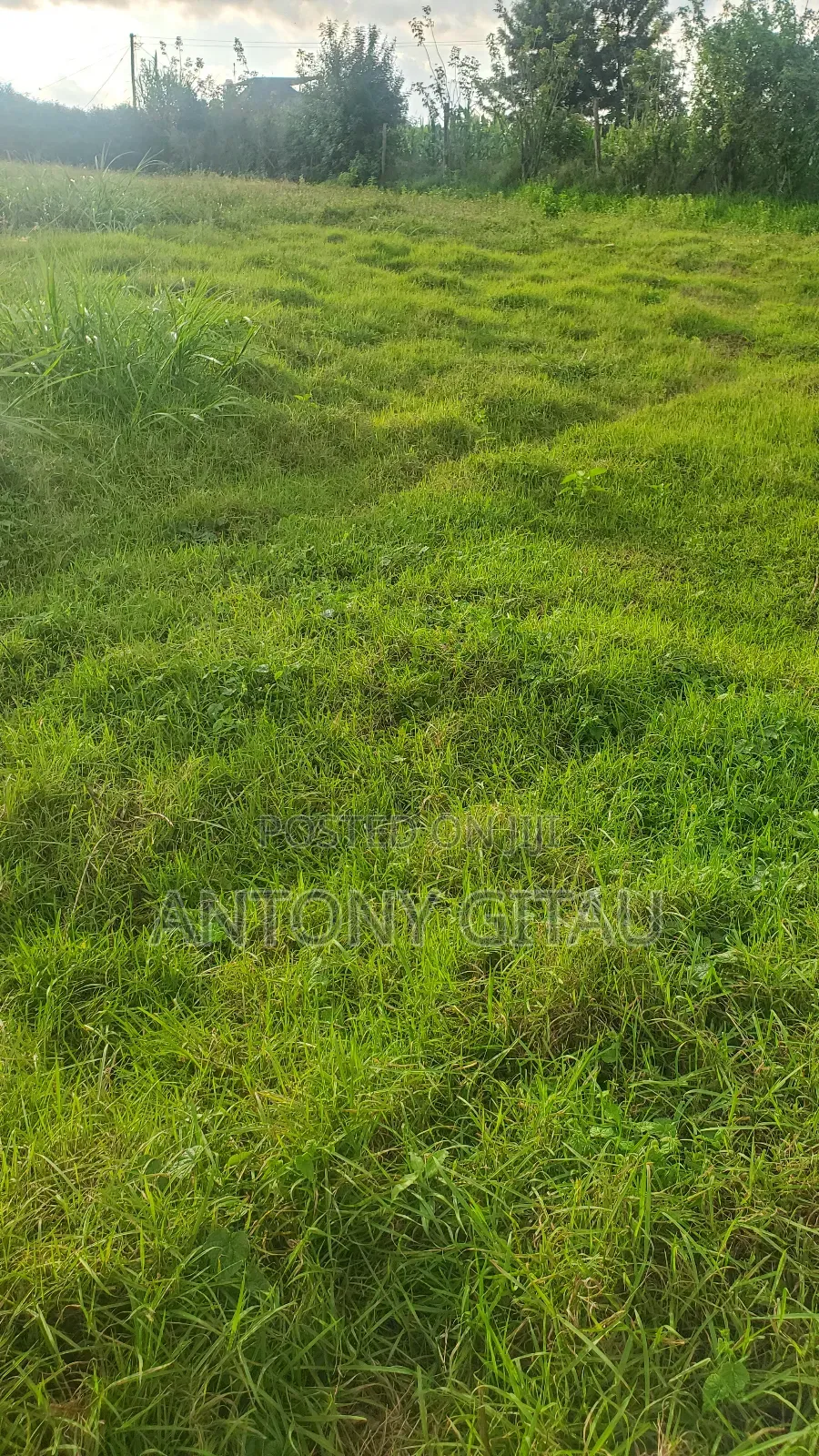 0.05 Ha Plot Near Kikuyu Bypass Overlooking Alliance High