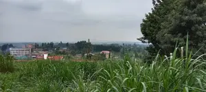 Githunguri Plots Sale