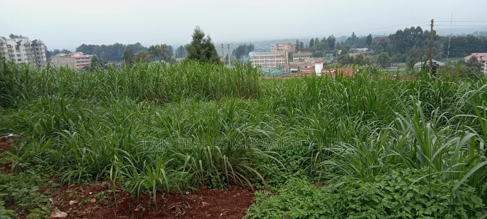 Githunguri Plots Sale