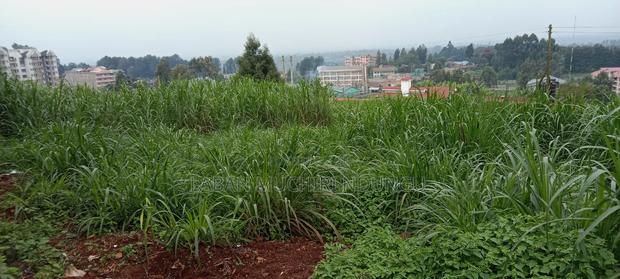 Land for Sale - thumbnail 3