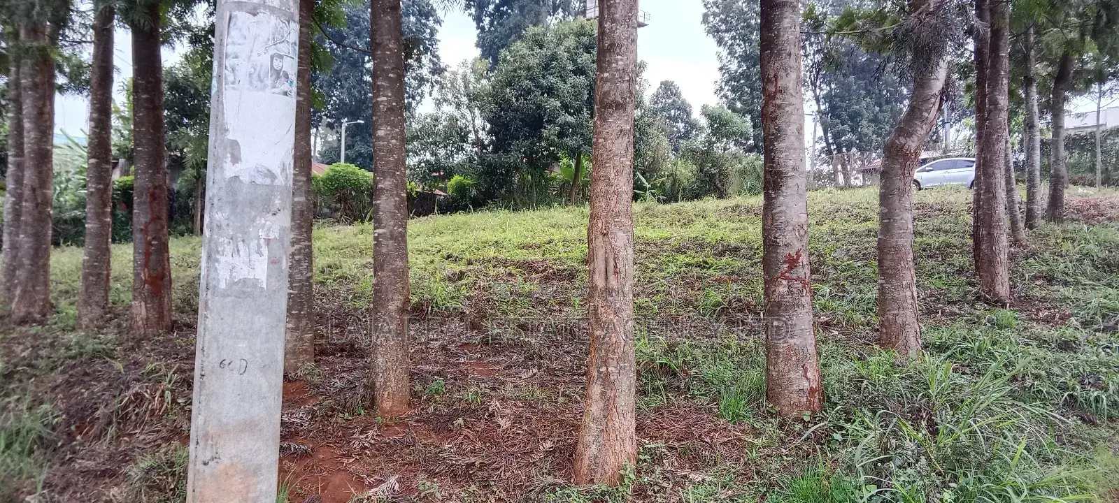 Githunguri Plots Sale