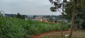 Githunguri Plots Sale