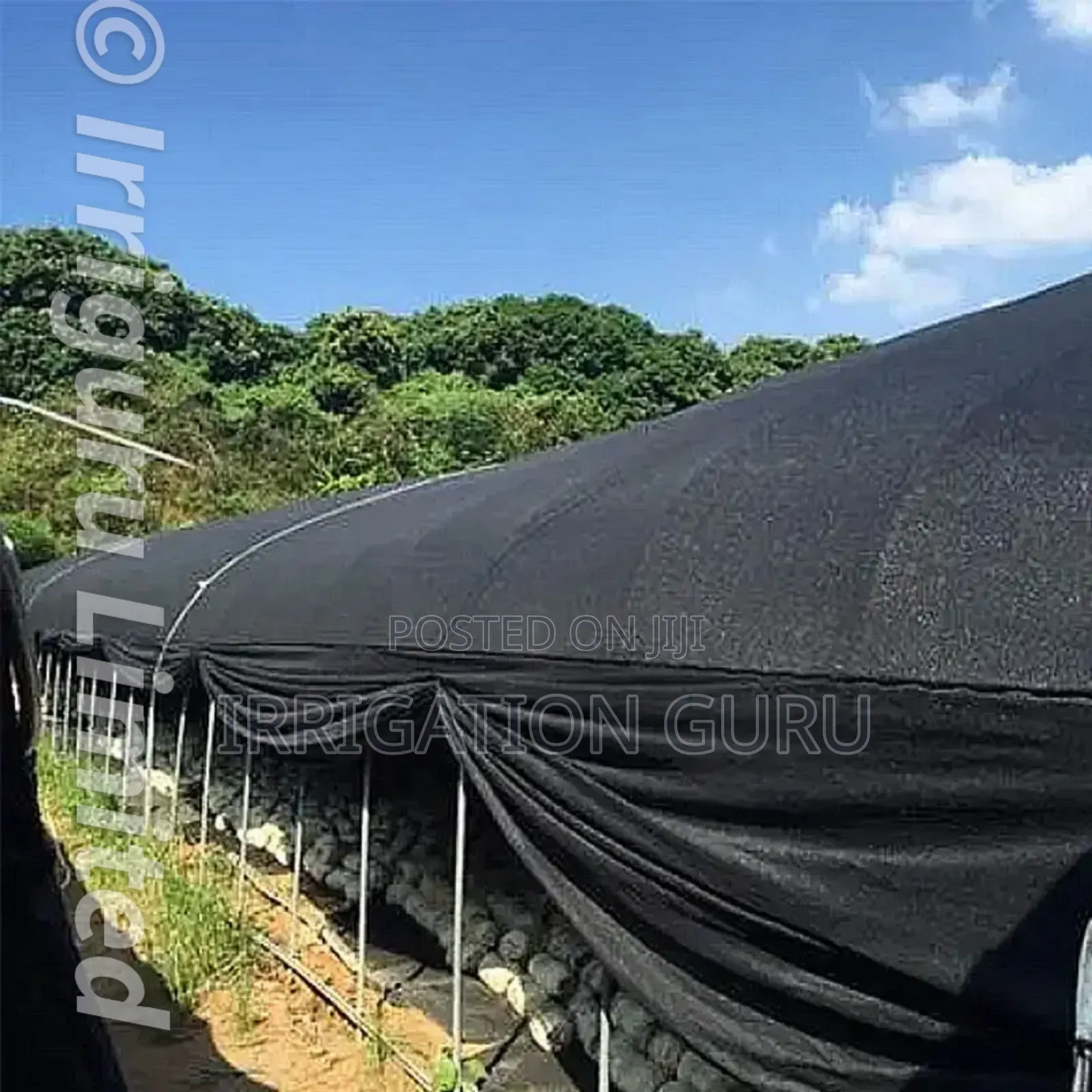Sun Plant Shade Net