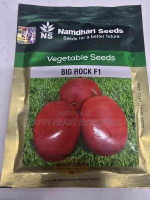Big Rock F1 10,000 Tomato Seeds - thumbnail 2