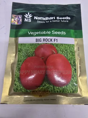 Big Rock F1 10,000 Tomato Seeds
