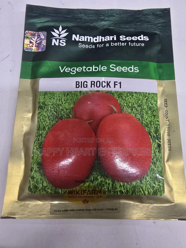 Big Rock F1 10,000 Tomato Seeds - thumbnail 3