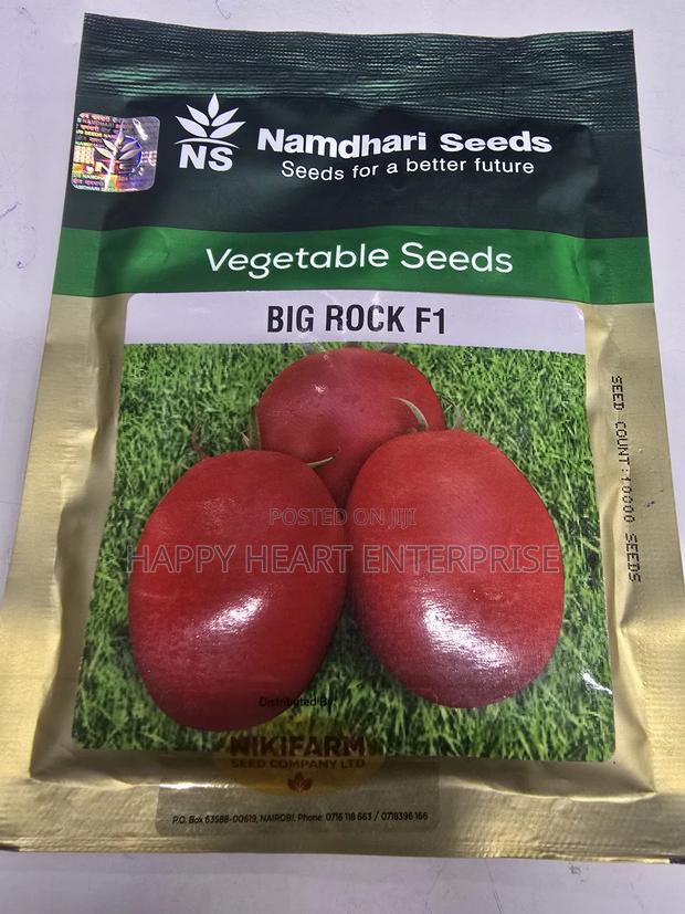 Big Rock F1 10,000 Tomato Seeds - thumbnail 6