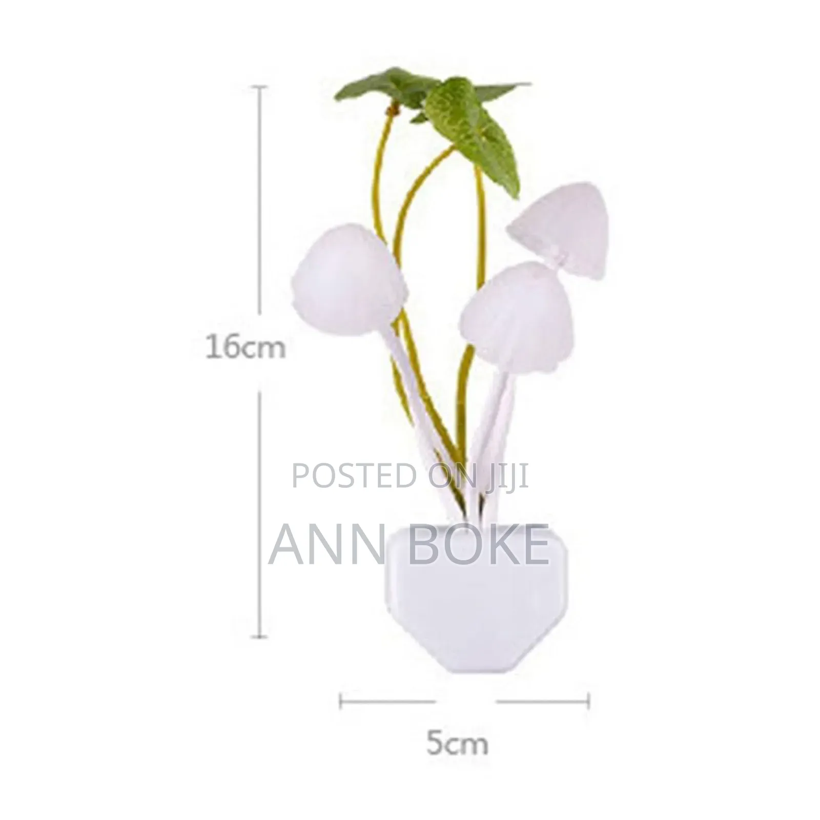 Automatic Glow in the Dark Flower the Wall Night Light