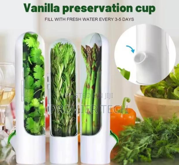 Fresh Herbs Storage Container