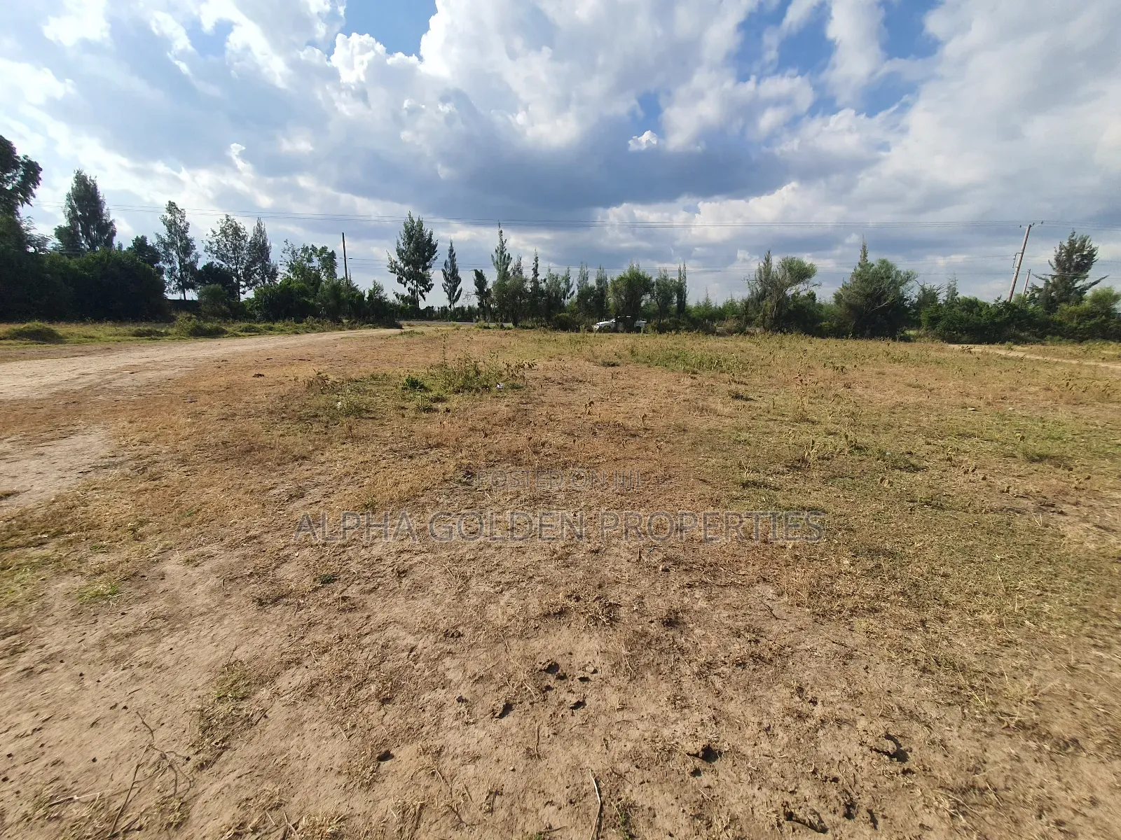 Nanyuki Plots on Tarmac