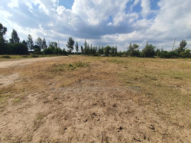 Nanyuki Plots on Tarmac - thumbnail 3