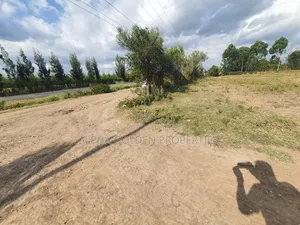 Nanyuki Plots on Tarmac