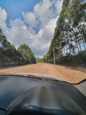 Sweetwaters Nanyuki Plots