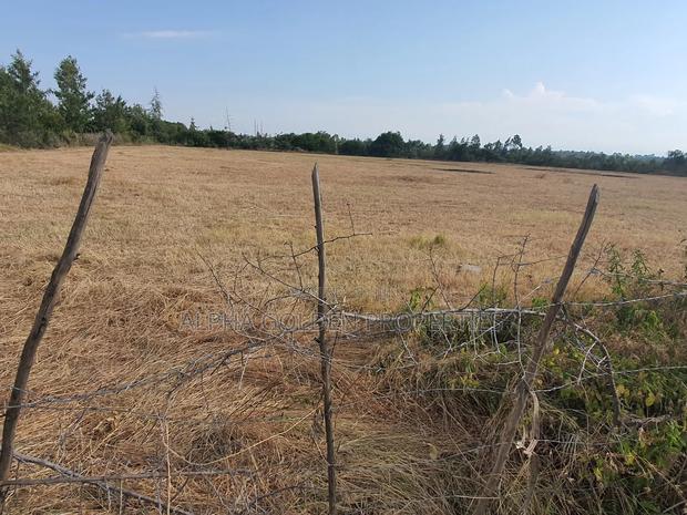 Sweetwaters Nanyuki Plots - thumbnail 5