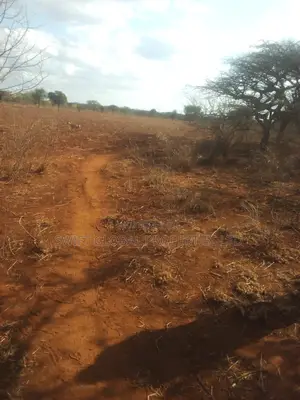 20 Acres of Agricultural Land Is for Sale in Makindu Ikoyo