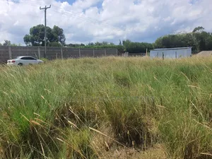 Nanyuki Prime Plots