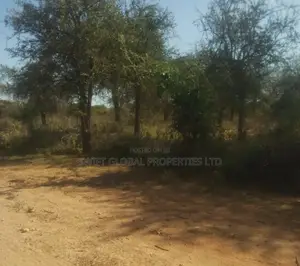 10 Acres Touching Mombasa Road in Makindu Ikoyo Is for Sale