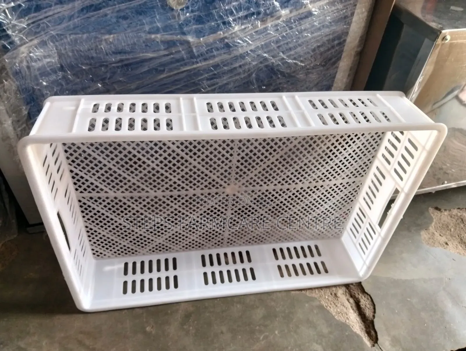176 Eggs Hatching Basket