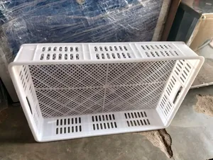 176 Eggs Hatching Basket