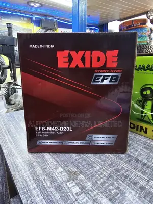 Ns40 Exide Matrix Efb Start-Stop Battery