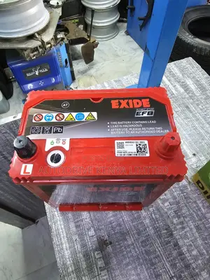 Ns40 Exide Matrix Efb Start-Stop Battery