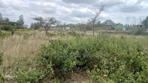 One Acre for Sale in Masaai Lodge - main view