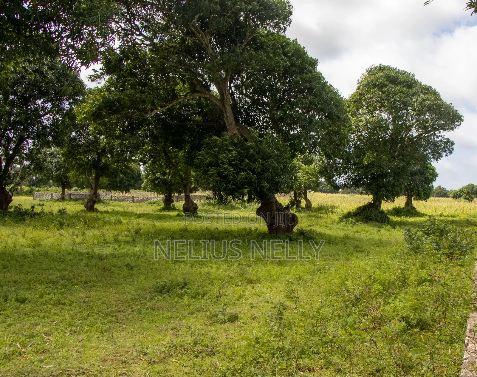 Airport View Malindi Prime Plots for Sale