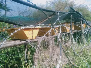Modern Bee Hives