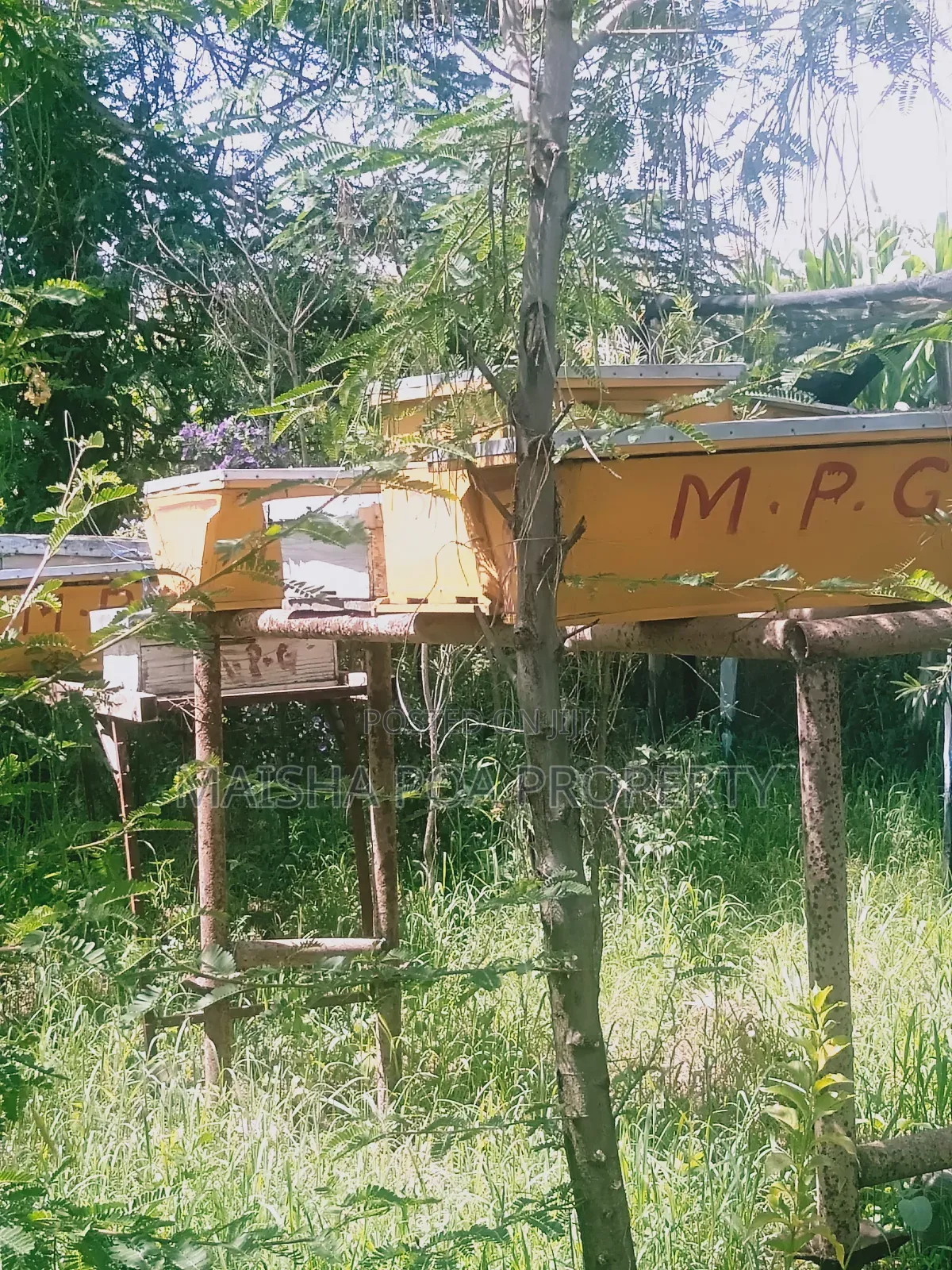 Modern Bee Hives