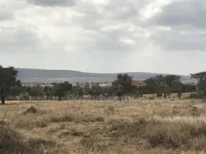 12 Acres Maanzoni Mua