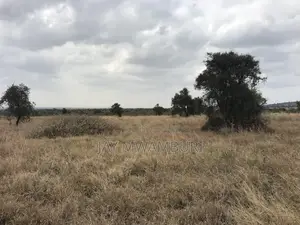 12 Acres Maanzoni Mua