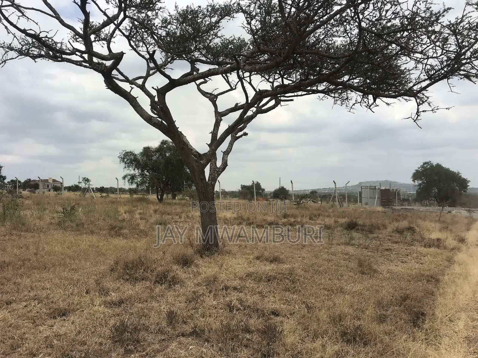 12 Acres Maanzoni Mua