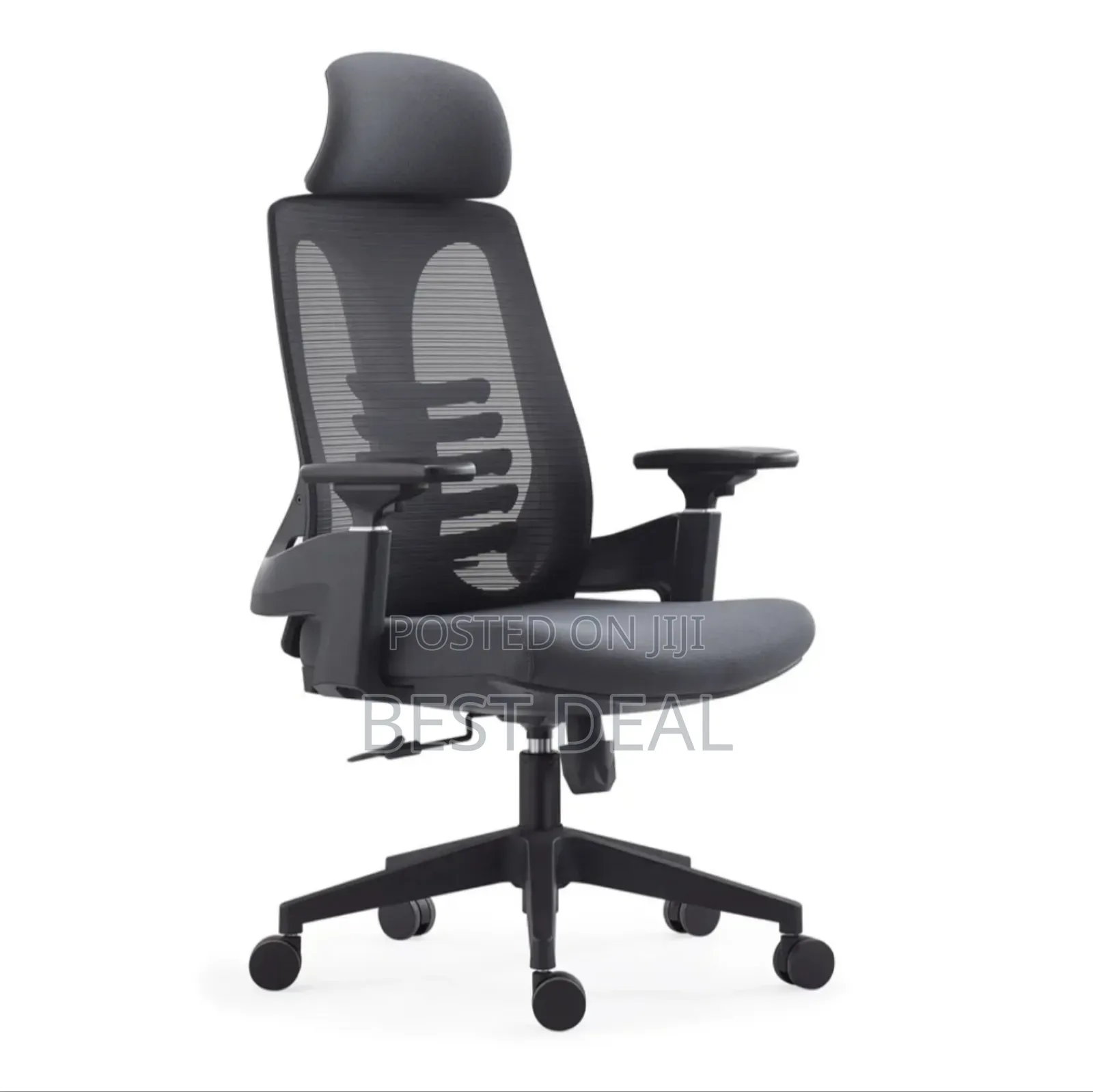 Lama Orthopedic Chair
